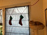 IMG 6129  up with the stockings