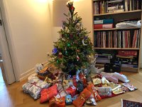 IMG 6132  making a very nice tableau!