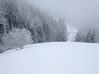 IMG 0149  looking exactly the other way