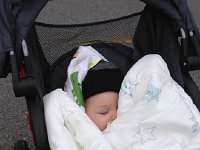 IMG 3813  And quickly asleep (fighting off another virus makes one very sleepy)