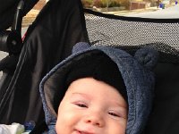 IMG 4105  Another outing in the stroller