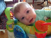 IMG 4118  Poor little one