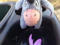 IMG 4211  Crocus and Eeyore