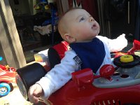 IMG 4222  Laim loves being outside in the Super Coop