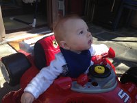 IMG 4223  Laim loves being outside in the Super Coop