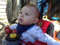 IMG 4224  Laim loves being outside in the Super Coop