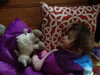 IMG 4230  Play time with lambie and sleeping bag is a lot of fun