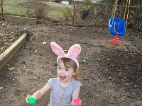 IMG 1362  Eggs everywhere!