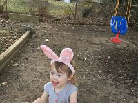 IMG 1363  Eggs everywhere!