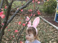 IMG 1365  Eggs everywhere!