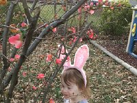 IMG 1367  Eggs everywhere!