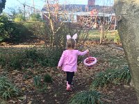 IMG 1385  Where are the eggs?