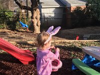 IMG 1387  Easter egg hunting