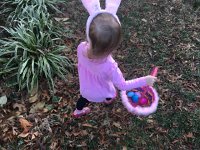 IMG 1390  Easter egg hunting