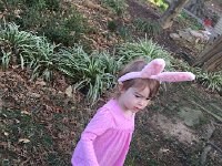 IMG 1391  Easter egg hunting