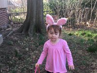 IMG 1392  Easter egg hunting