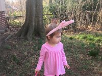 IMG 1394  Easter egg hunting