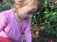 IMG 1396  Easter egg hunting