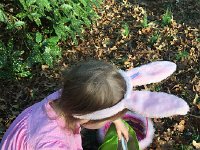 IMG 1397  What&#39;s this?