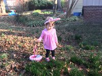 IMG 1399  Easter egg hunting