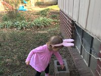 IMG 1403  Easter egg hunting