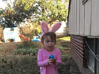 IMG 1404  Easter egg hunting
