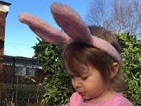 IMG 1407  Opening the eggs