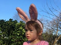 IMG 1408  Opening the eggs