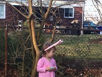 IMG 1428  Opening the eggs