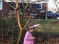 IMG 1429  Egg hunting