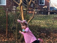 IMG 1431  Egg hunting