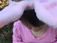 IMG 1432  Egg opening