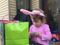 IMG 1441  egg opening