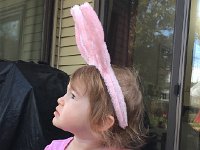 IMG 1444  easter bunny