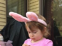 IMG 1445  easter bunny