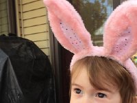 IMG 1447  egg eating