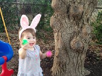 IMG 4293  And there are eggs in the yard!