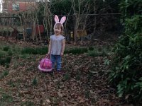 IMG 4296  Eggs everywhere!