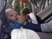 IMG 4309  hanging out in the stroller