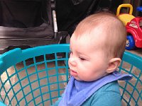 IMG 4319  Liam in the basket