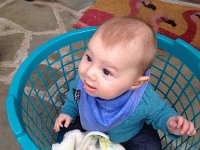 IMG 4322  Liam in the basket with his lovie lamie