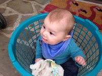 IMG 4323  Liam in the basket with his lovie lamie