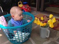 IMG 4325  ooh! what are those?