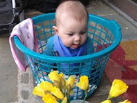 IMG 4328  Liam and daffodils
