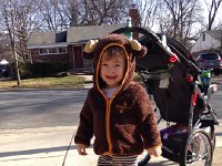 IMG 3912  Enough of this, it&#39;s time to go for a walk