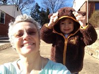 IMG 3917  Moose with antlers