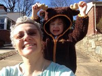 IMG 3918  Moose with antlers