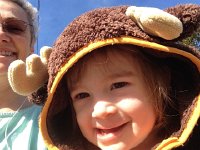 IMG 3924  Moose with antlers