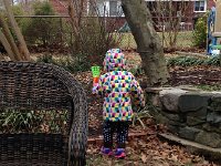 IMG 3947  So out the back we go!