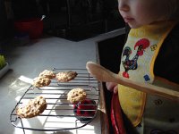 IMG 3978  Cooling cookies